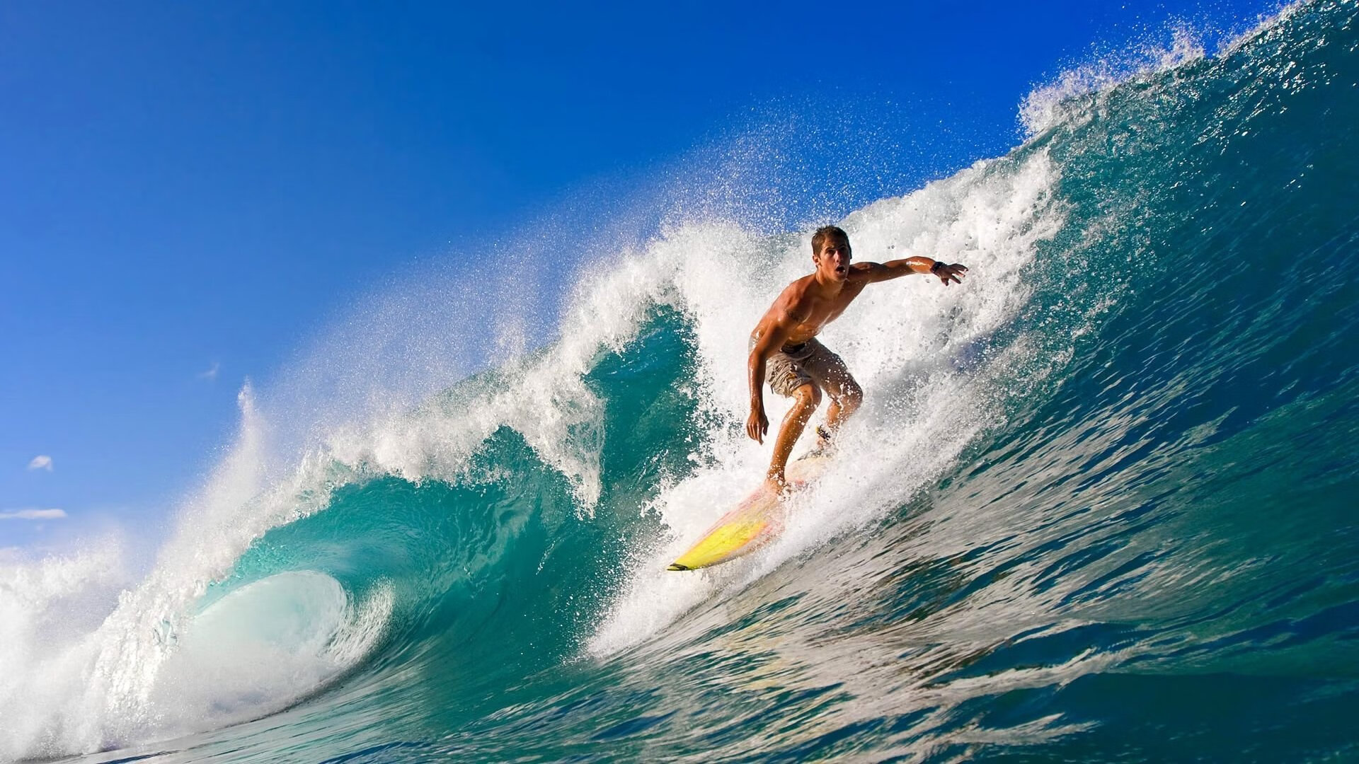 替补的獠牙，当维德默遇见卡马文加，体育史为何总被偶然改写？